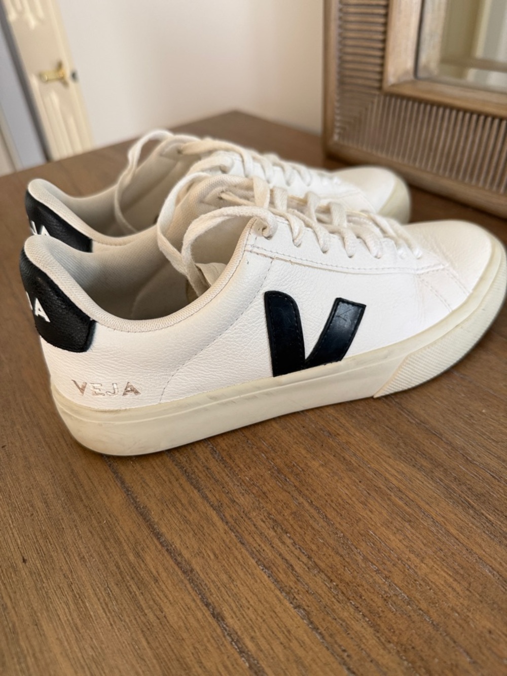 Veja White Low-Top Sneakers with Black V